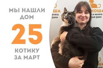 Мурчательный Ручеëк дома!