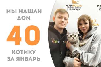 Величественный Серджио обрел родную семью!
