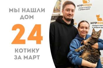 Меньше двух месяцев понадобилось шустрому Спринтеру, чтобы обрести дом!