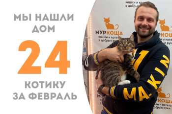 Умопомрачительный Теобальд обрел уютный дом!