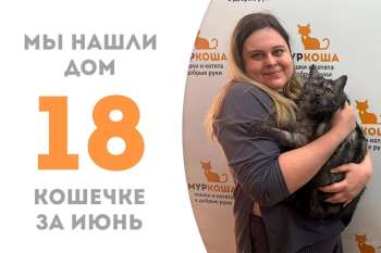 Очаровательная Тигрелла дома!