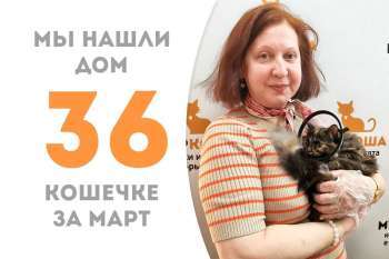 Миниатюрная Туся обрела счастье с родным человеком!