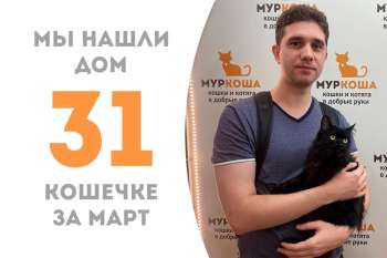 Шикарная Утилита стала домашней любимицей меньше чем за месяц!
