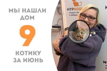 Сказочный Вакула обрел семью!
