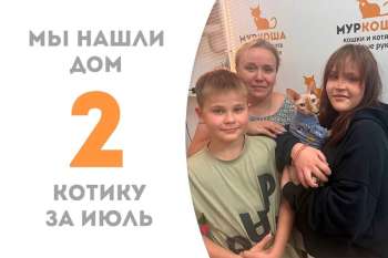 Меньше месяца потребовалось котику Йони, чтобы найти дом!