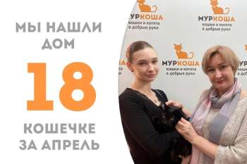 Харизматичная Ютака стала домашней!