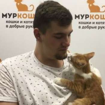 Смайлик