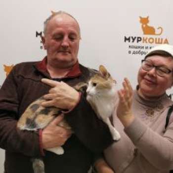 Павлина