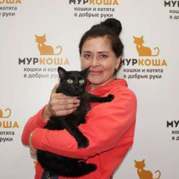 Нирвана