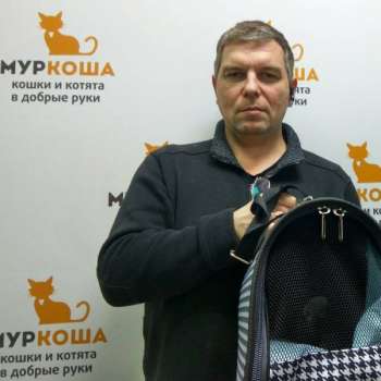 Кадриль