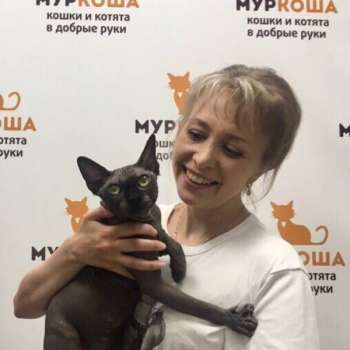 Орфей