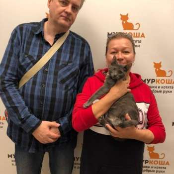 Пион