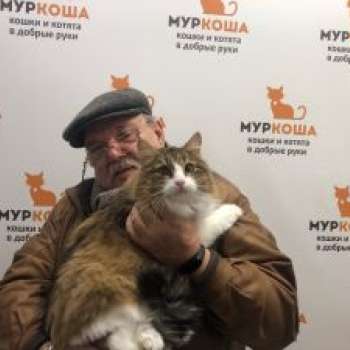 Лукошка