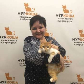 Клюква