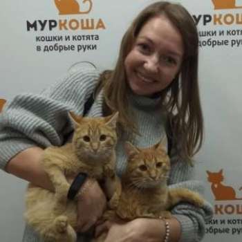 Пирожок