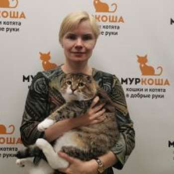Винипушик