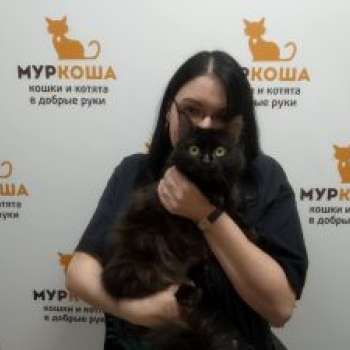 Клима