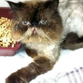 Принц
