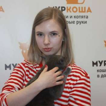 Лаки