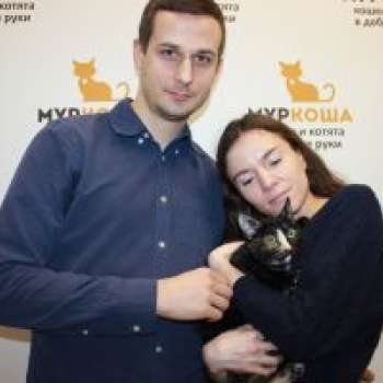 Брынза
