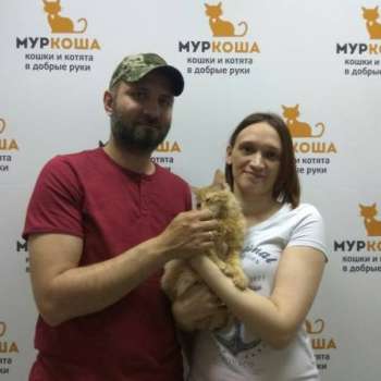 Фантик