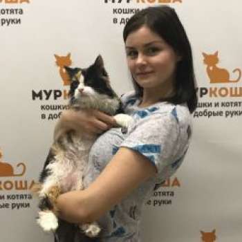 Сати