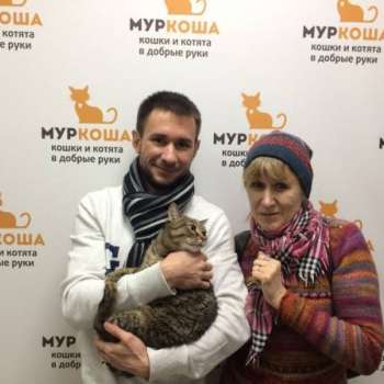 Гастингс