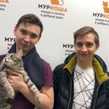 Цукат