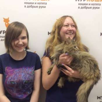 Мозя