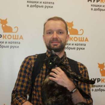 Сальма
