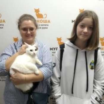 Блонд