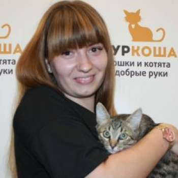 Тархун
