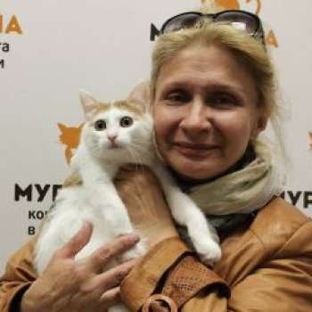 Шура