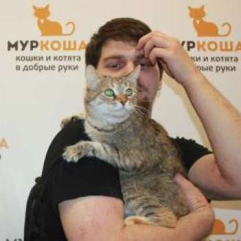 Гуля