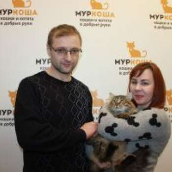Молина
