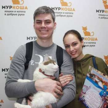 Друид