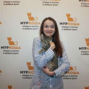 Шнурок