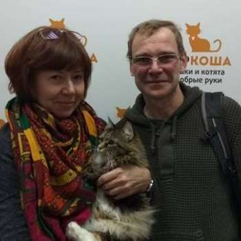Роксалана
