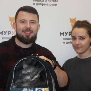 Маркиса