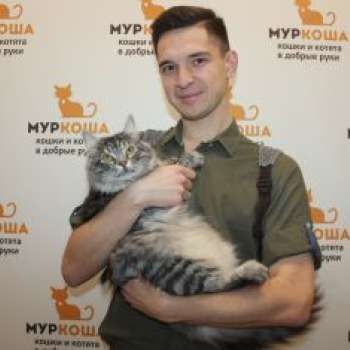 Плюшик