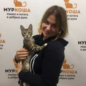 Клайв