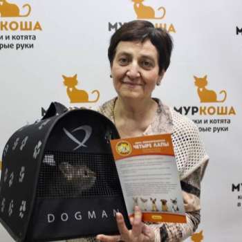 Марлен