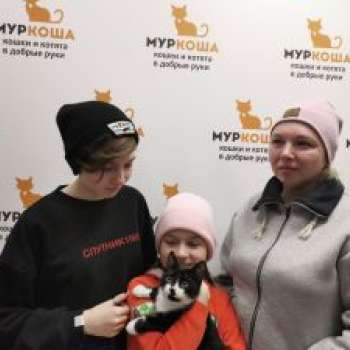 Бандит