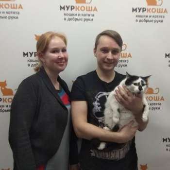 Медея