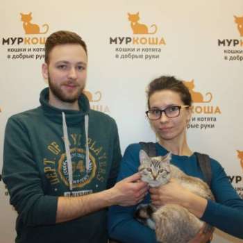 Шарли
