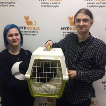 Юнона