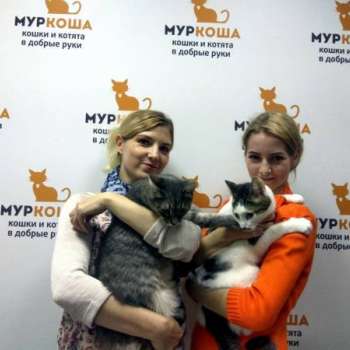 Никита