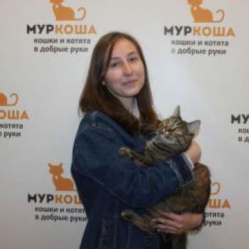 Мира