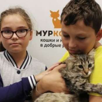 Алисия