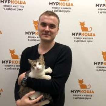 Любимчик